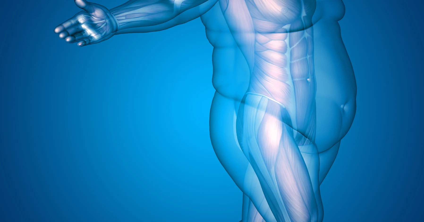 tại sao mỡ bụng dưới khó giảm