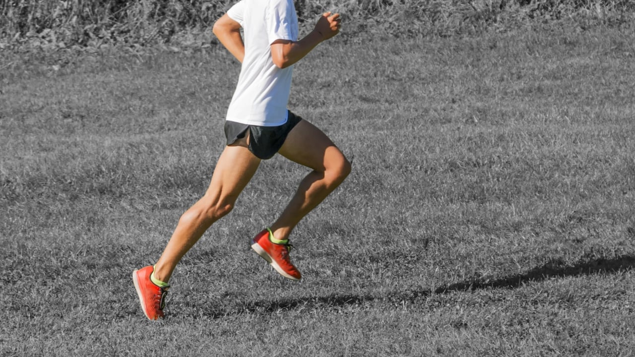 các bài tập chạy bộ hiệu quả