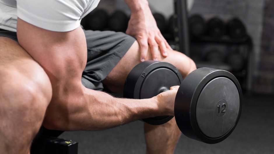 các nhóm cơ tập gym