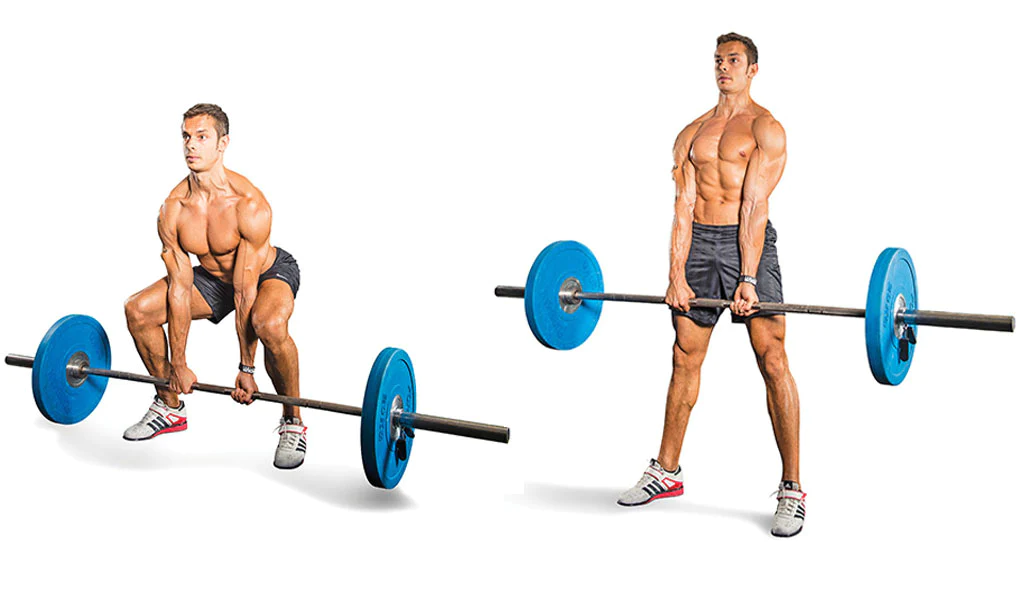 cơ xô là gì? các bài tập lưng xô hiệu quả