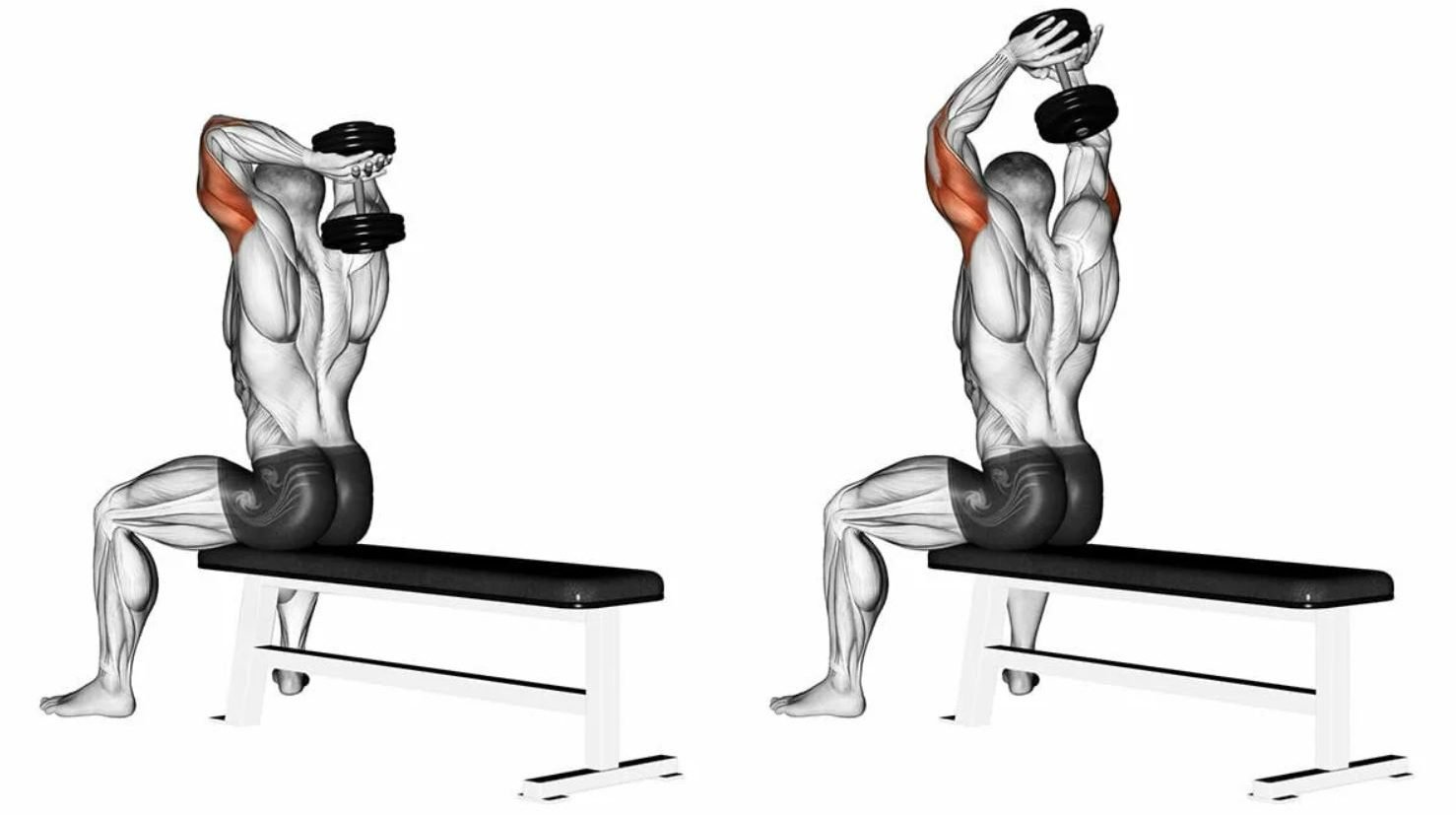 các bài tập tay trước và tay sau hiệu quả