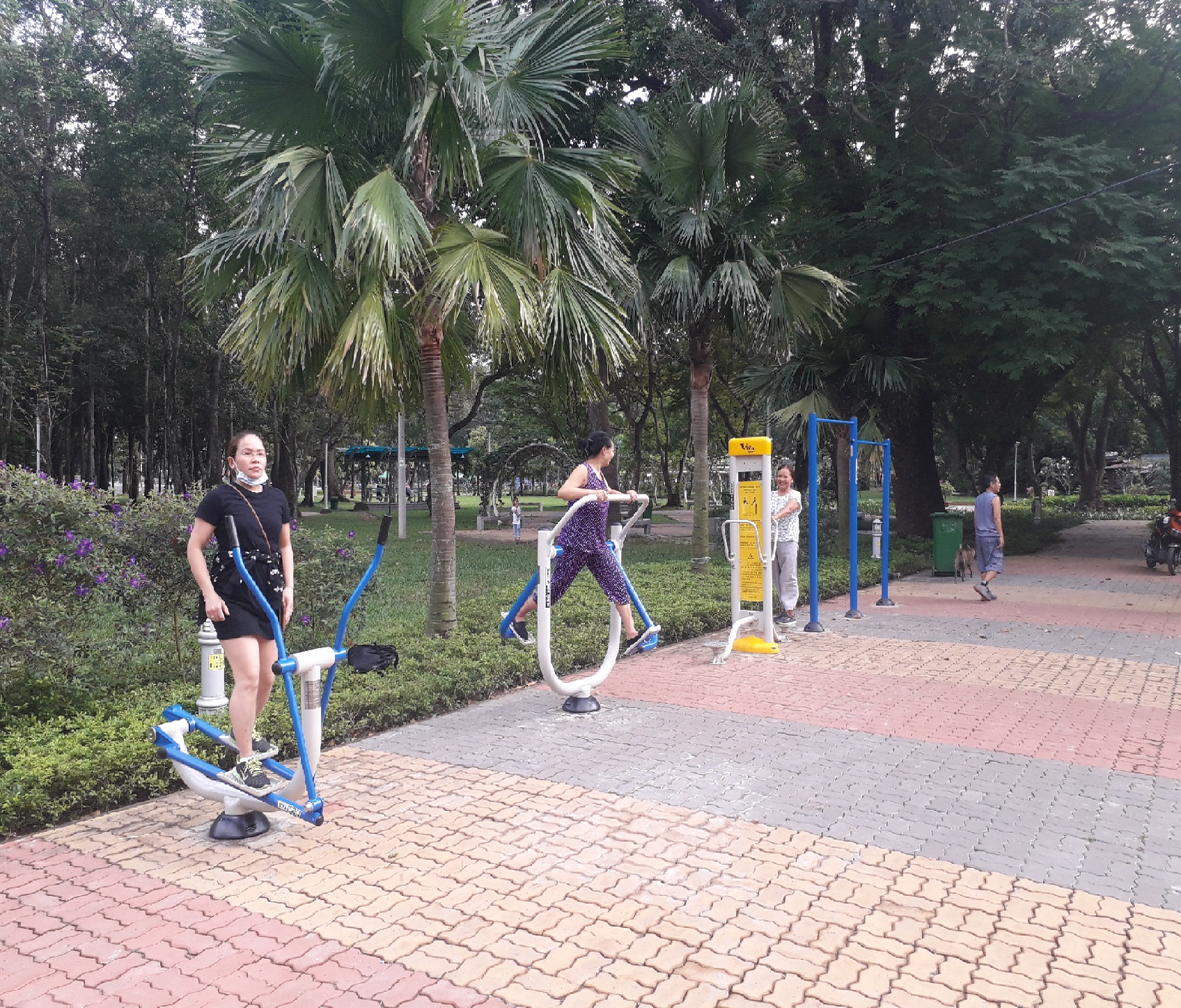 Tác dụng của máy tập thể dục ngoài trời cho phụ nữ