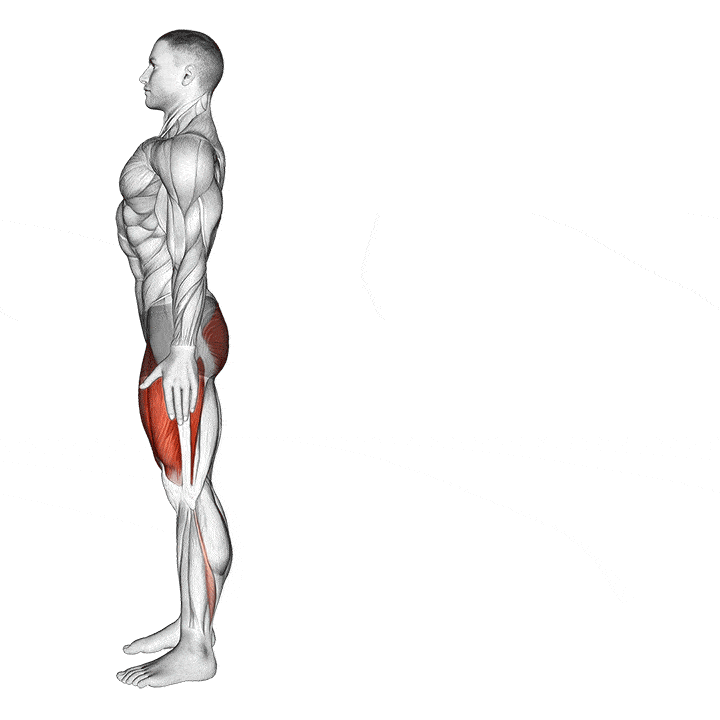 Hướng dẫn các động tác tập lunge