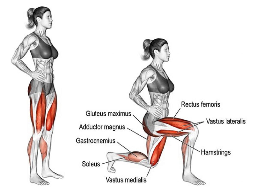 Tập lunge là gì tác động đến nhóm cơ nào