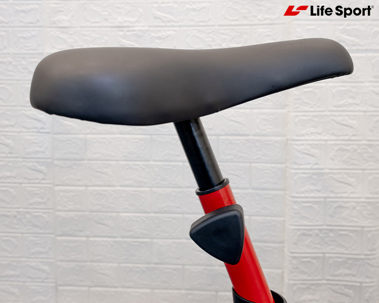 xe dap tap gia re lifesport ls 113 10 1