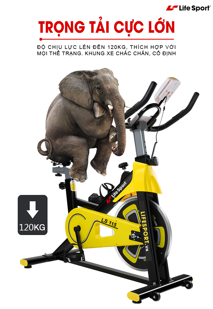 xe dap tap life sport ls 115 8