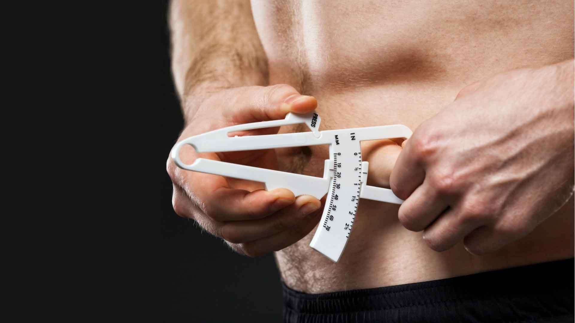 Mỡ nội tạng là gì